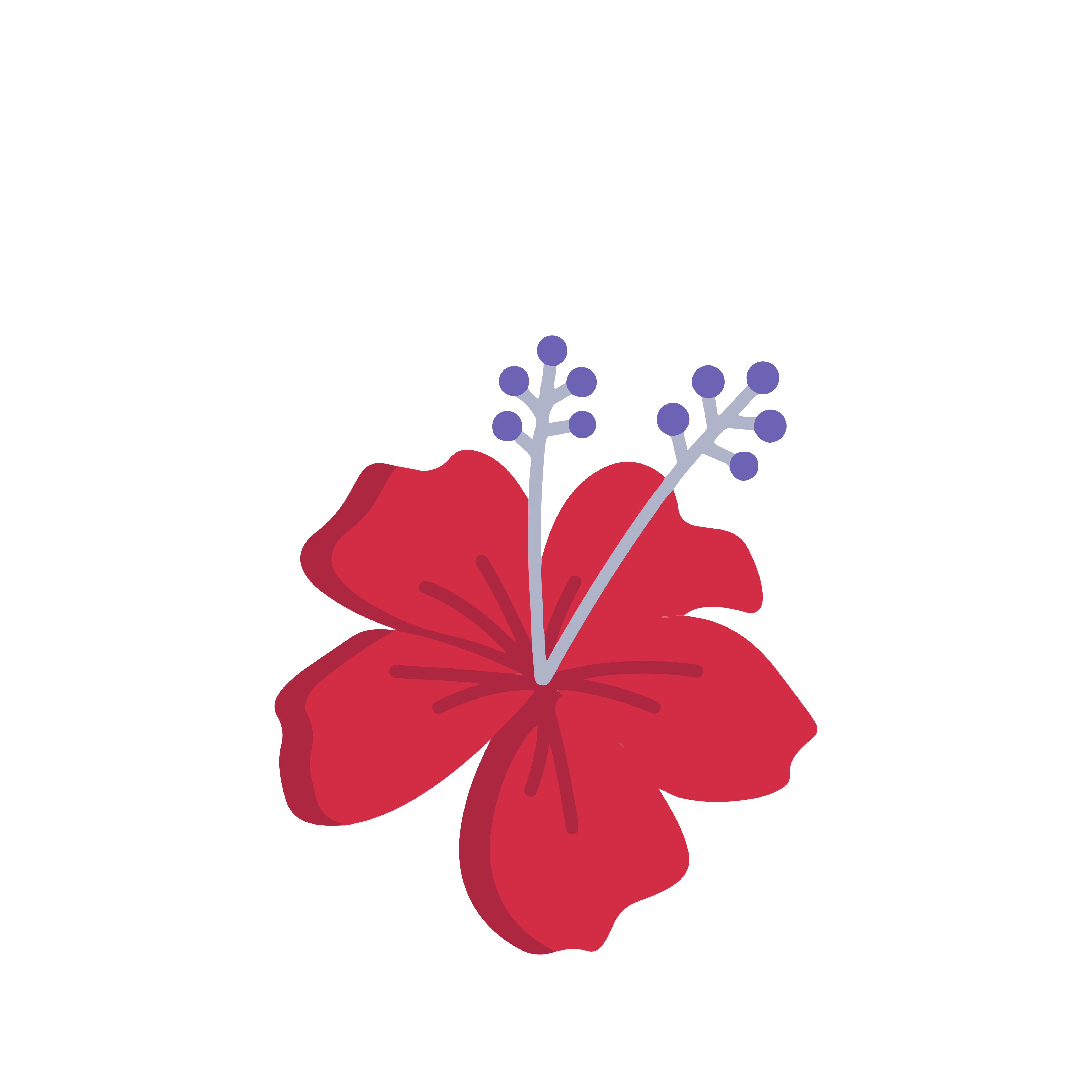 Hibiscus Tea